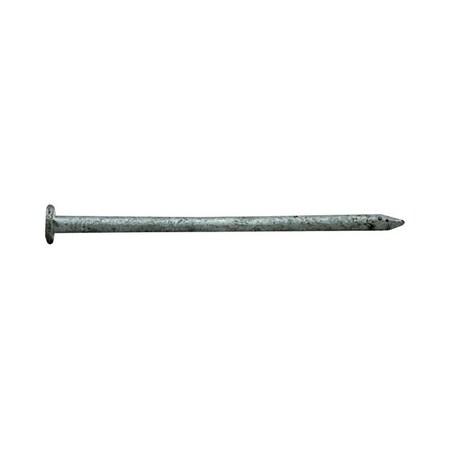 Homestead 2 in. 6D 5 lbs HDG Common Nail HO2739666